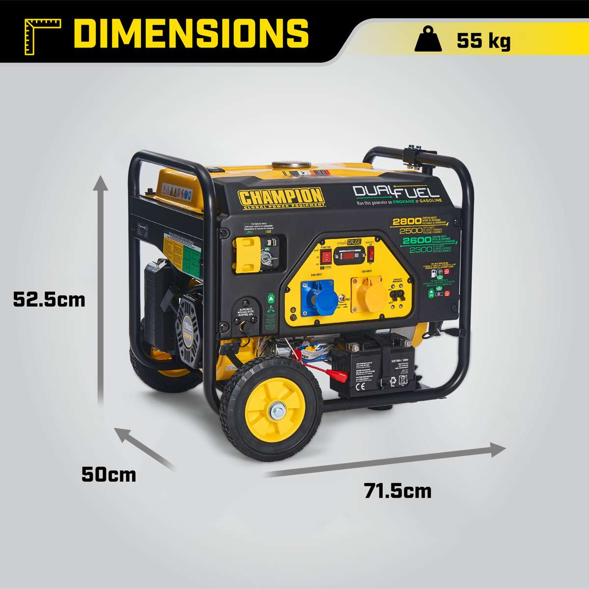 Champion 2800 Watt groupe électrogène Dual Fuel essence/propane