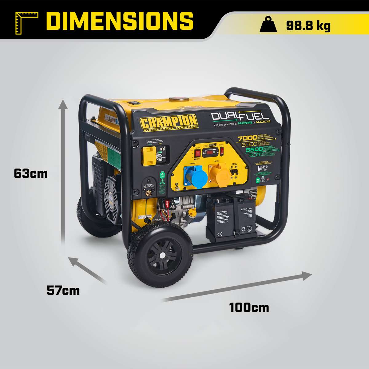 Champion 7000 Watt groupe électrogène Dual Fuel
