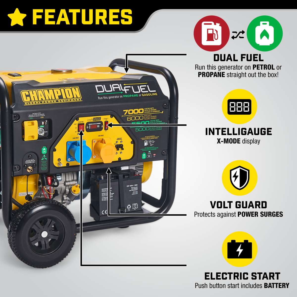 Champion 7000 Watt groupe électrogène Dual Fuel